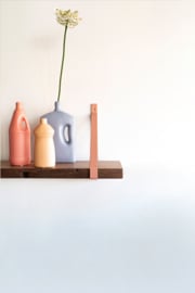 Wandplank SEC met gekleurde dragers